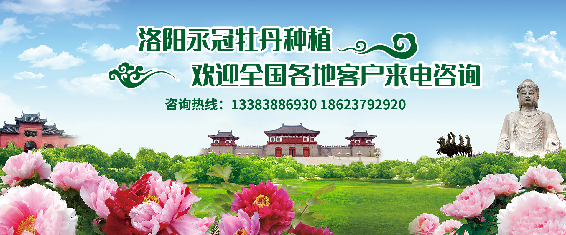 洛陽永冠牡丹種植有限公司