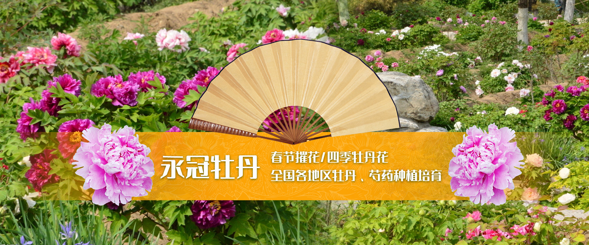 洛陽永冠牡丹種植有限公司